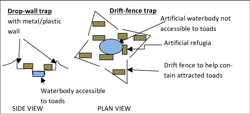 https://www.researchgate.net/publication/321644385/figure/fig10/AS:569054122917888@1512684483552/Two-toad-trap-designs-a-drop-wall-trap-and-a-drift-fence-trap-with-easily-searched.png