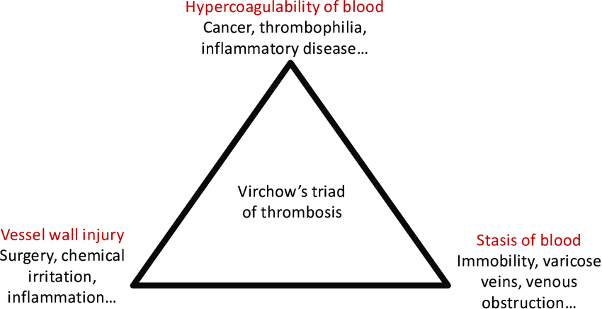 3 The Virchows Triad Of Risk Factors For Venous Thrombosis