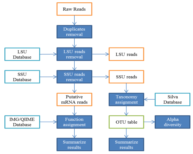 SPEM diagram describing how analysed companies perform QBGA processes
