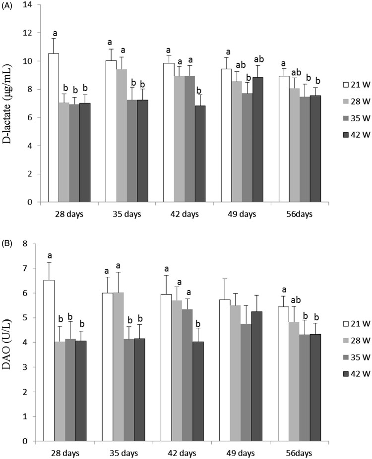 Effects of weaning age (21W, 28W, 35W, 42W) on plasma D-lactate level ...