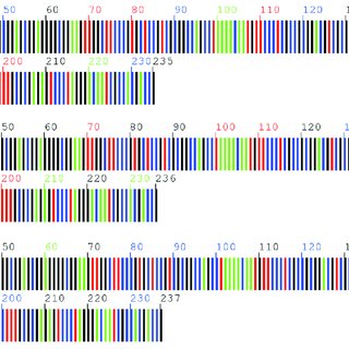 Two dimensional barcode for different haplotypes M. tenacissima. The ...
