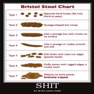 Ibs Stool Chart