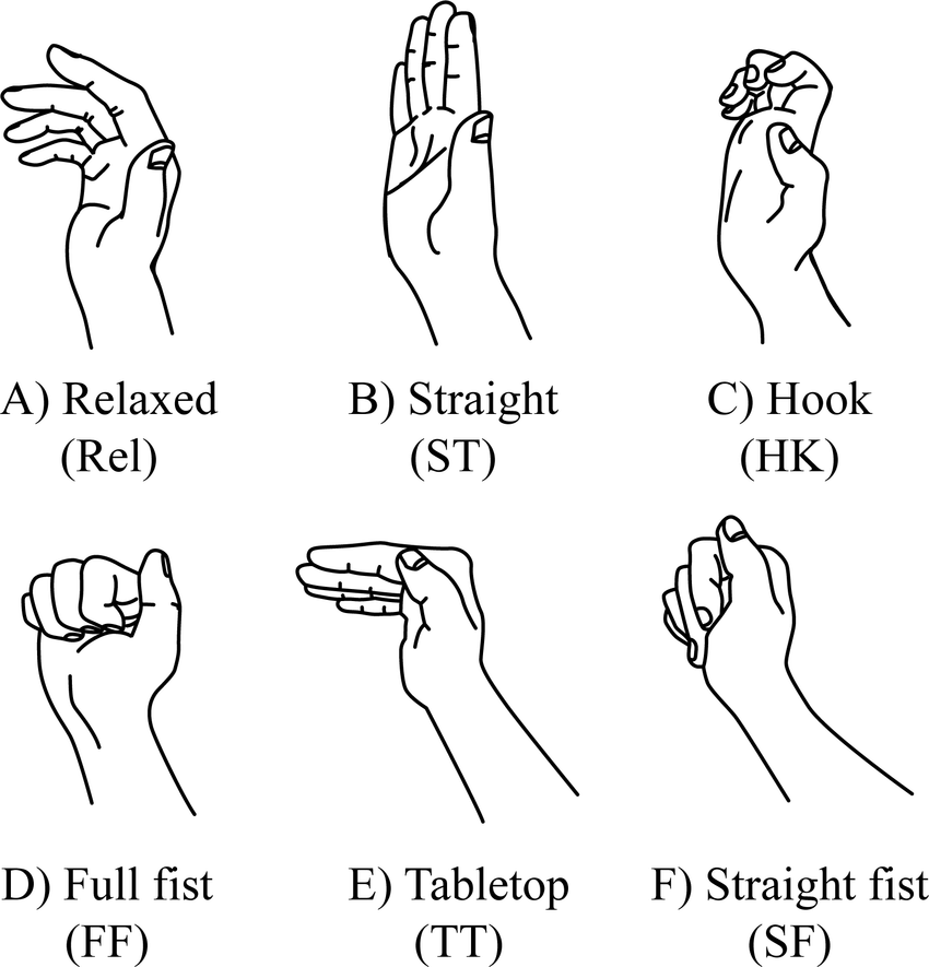 Relaxed fingers and finger tendon gliding positions. (A) Relaxed