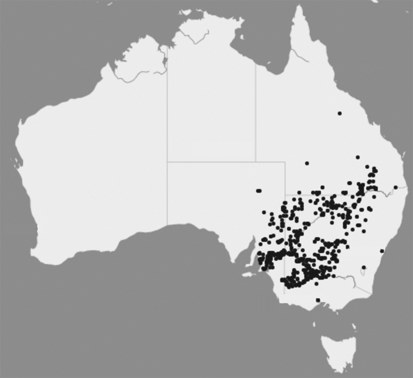 Locations of black box trees in Australia. Map courtesy of Australia's