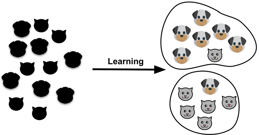 Cats and Dogs image classification