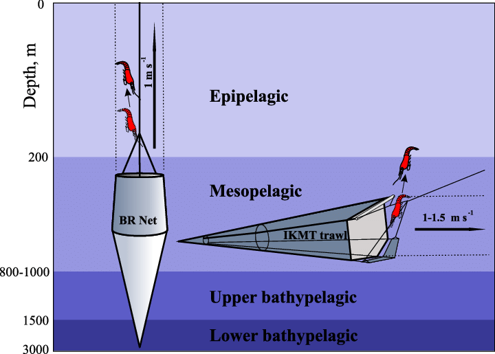 Comparison of vertical Bogorov-Rass (BR) net and oblique trawl sampling