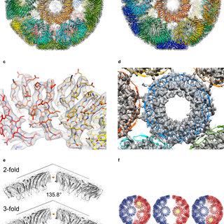 Structure and assembly of scalable porous protein cages