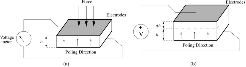Ligeramente lunes prueba Direct and converse piezoelectric effect. (a) Direct effect. (b)... |  Download Scientific Diagram