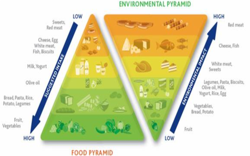 Double Pyramid (Source: Barilla Centre for Food and Nutrition, 2014 ...
