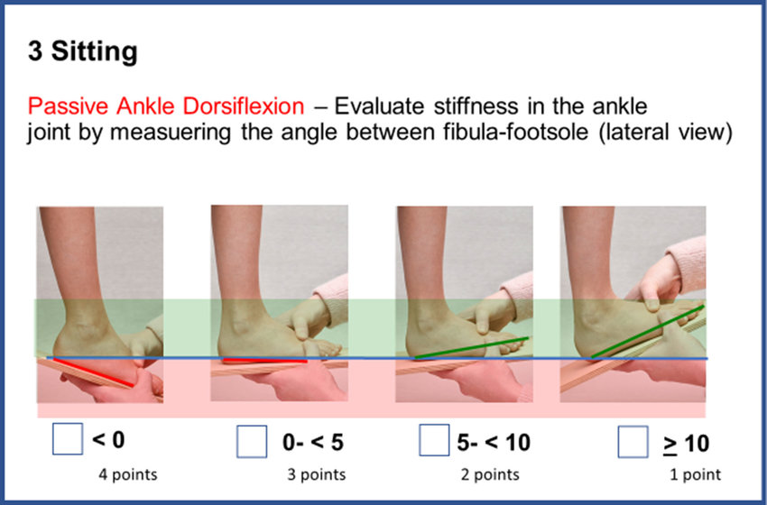 Passive ankle dorsiflexion.  Download Scientific Diagram