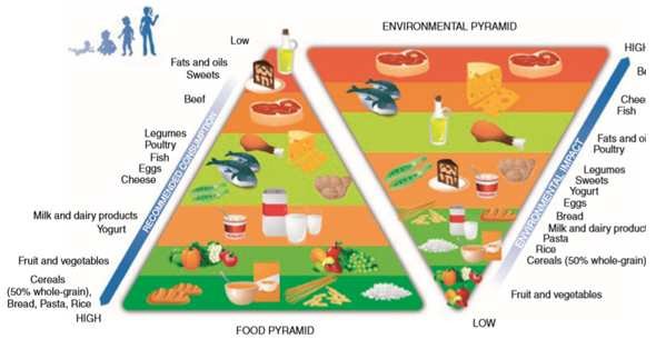 The double pyramid suggest a virtuous model to promote sustainable food ...