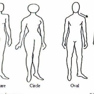 Four different body shapes in women and men [23]. (a) Four different