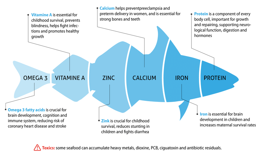 From fish to bacon, a ranking of animal proteins in order of healthfulness  - The Washington Post