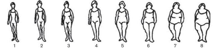 Sorenson silhouettes to assess body shape at different ages. | Download ...