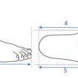 Illustration of Foot Measurements.1:Foot length, 2: Ball girth, 3: Foot ...