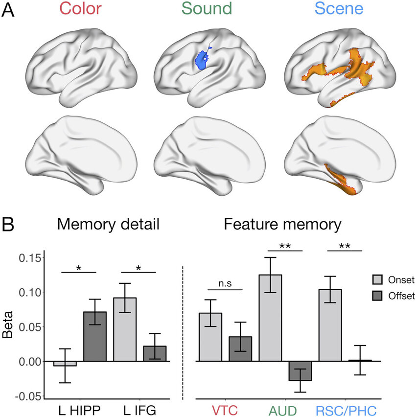Associative and predictive hippocampal codes support memory-guided  behaviors