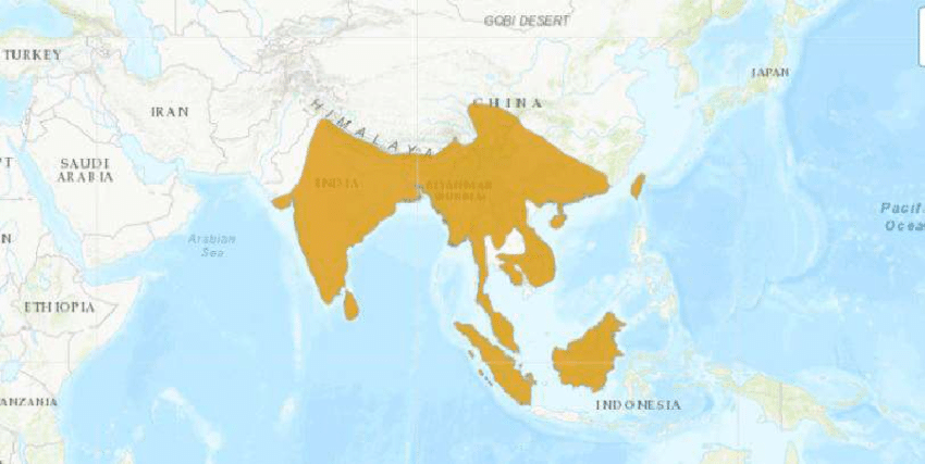 Distribution range of Sambar (Rusa unicolor) (Map source IUCN Red list)...  | Download Scientific Diagram