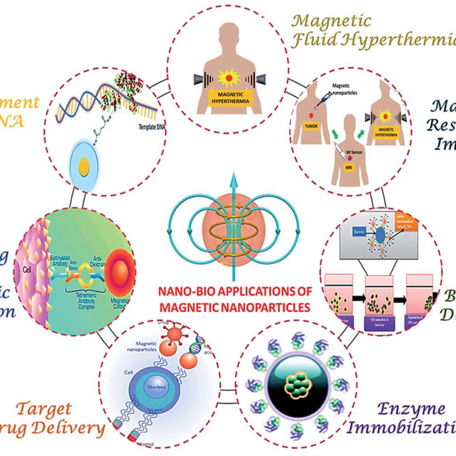 magnetic nanoparticle review