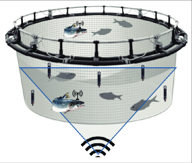 Sensor configuration within a stylized cage. Nine sensors were deployed