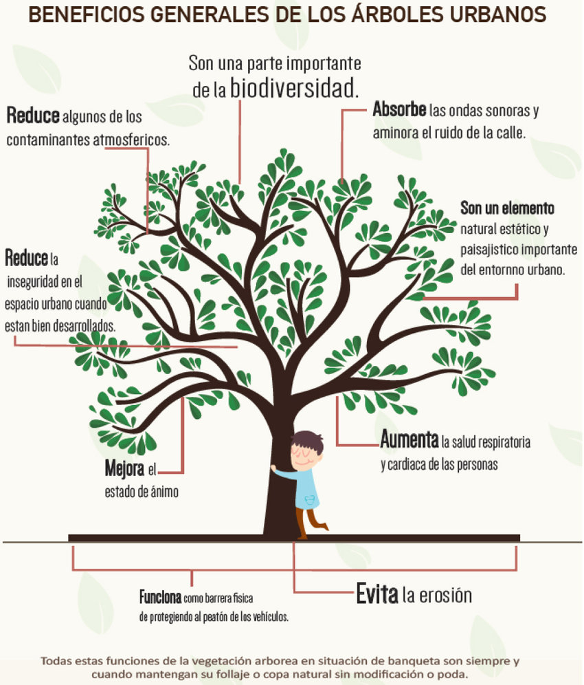 Servicios ambientales y funciones de los árboles urbanos en situación... |  Download Scientific Diagram