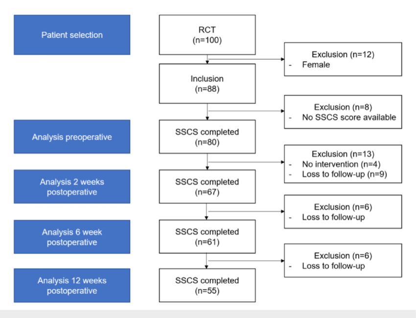 Study flowchart RCT -randomized control trail; SSCS -Sexual ...