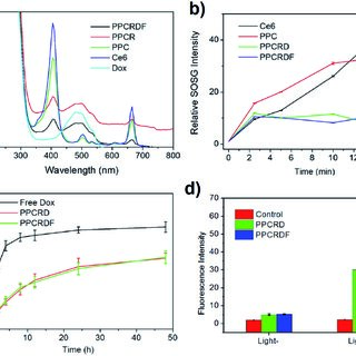 Characterization of drug-loading and singlet oxygen generation of ...