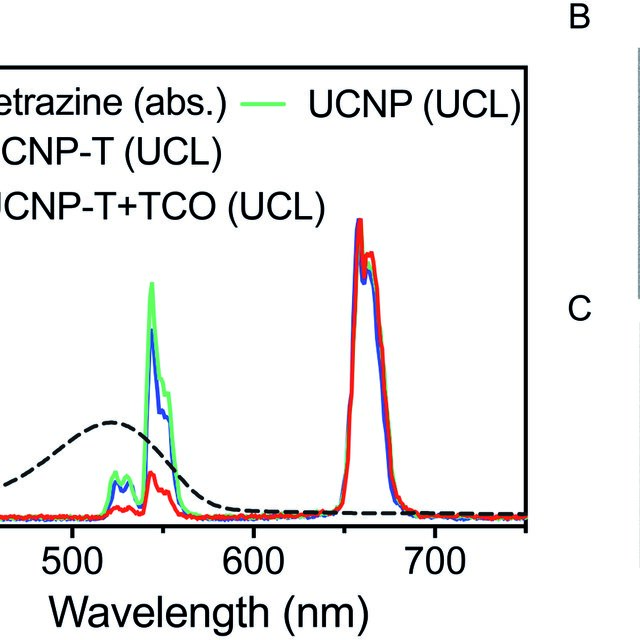 (A) The absorbance spectra of UCNP-T in the absence or presence of TCO ...