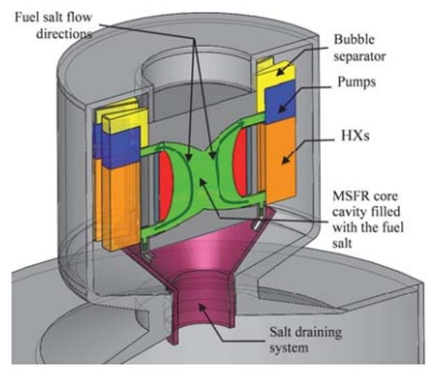 Schematic Layout Of The Molten Salt Fast Reactor Msfr Primary Circuit Download Scientific 