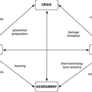 literature review crisis management