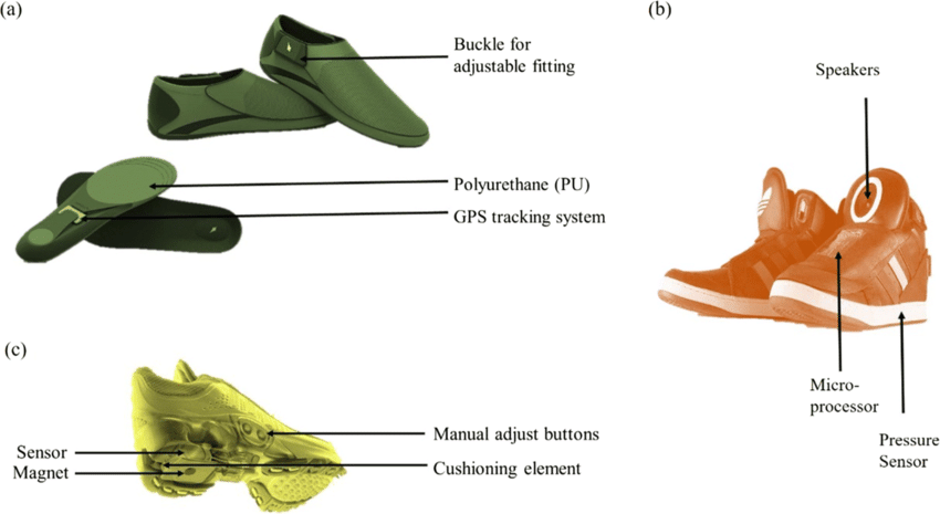 Lach Gelovige vorm Interactive smart shoes a Lechal Shoes that navigate using GPS [7]. b... |  Download Scientific Diagram