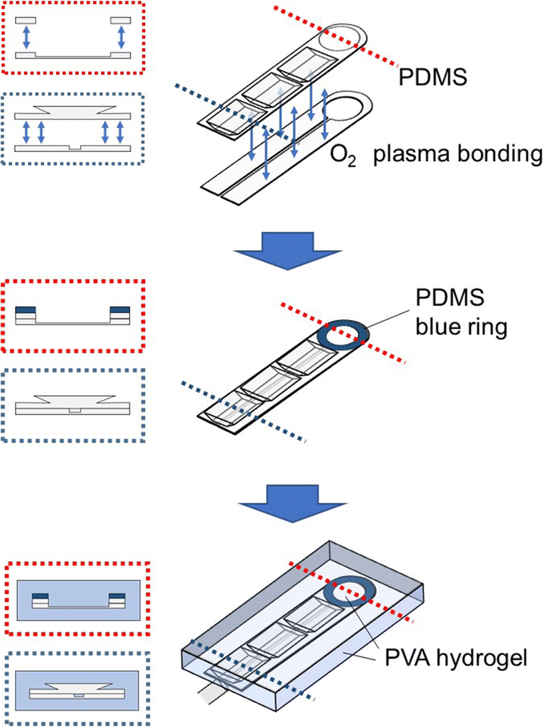 Printed microelectrode arrays on soft materials: from PDMS to hydrogels