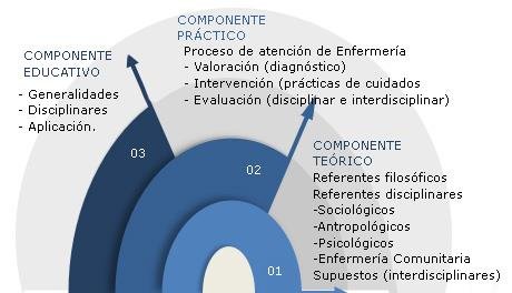 Componentes del Modelo Enfermería Salubrista. | Download Scientific Diagram
