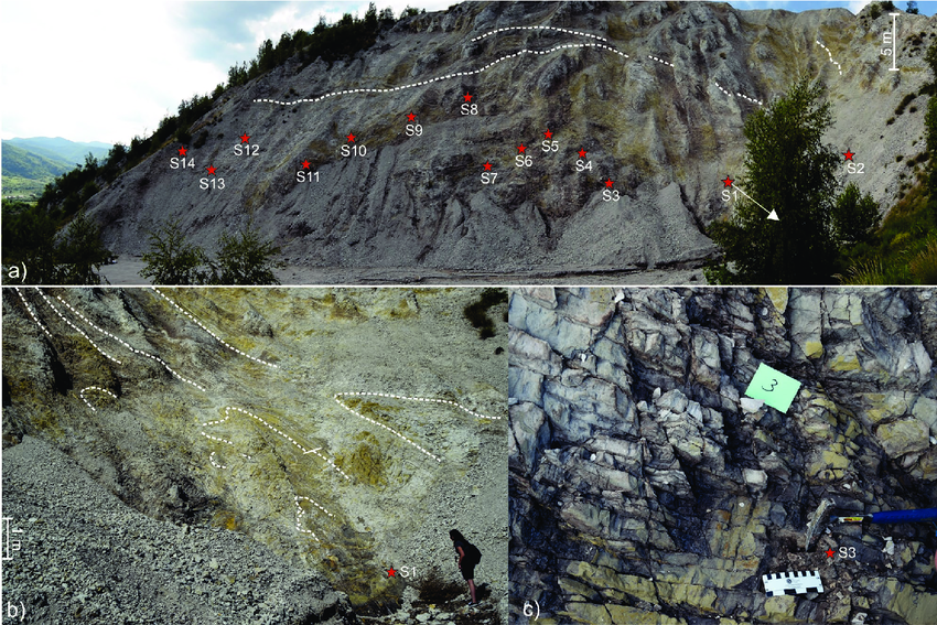 The lower level of the Sibiciu de Sus quarry exposing impure