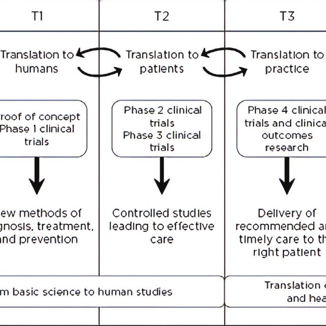 scholarly articles translational research