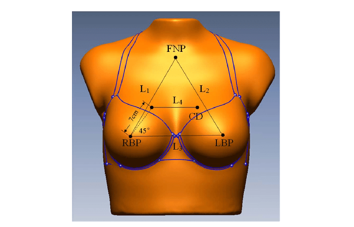Anthropometric measurements related to shaping of breasts