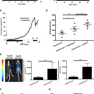 Frontiers  P2RY12-Inhibitors Reduce Cancer-Associated Thrombosis and Tumor  Growth in Pancreatic Cancers