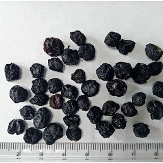 | The appearance traits of the Lycium ruthenicum fruit (LRF) dried by ...