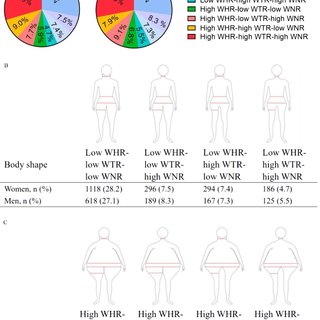 Associations of body shapes with insulin resistance and