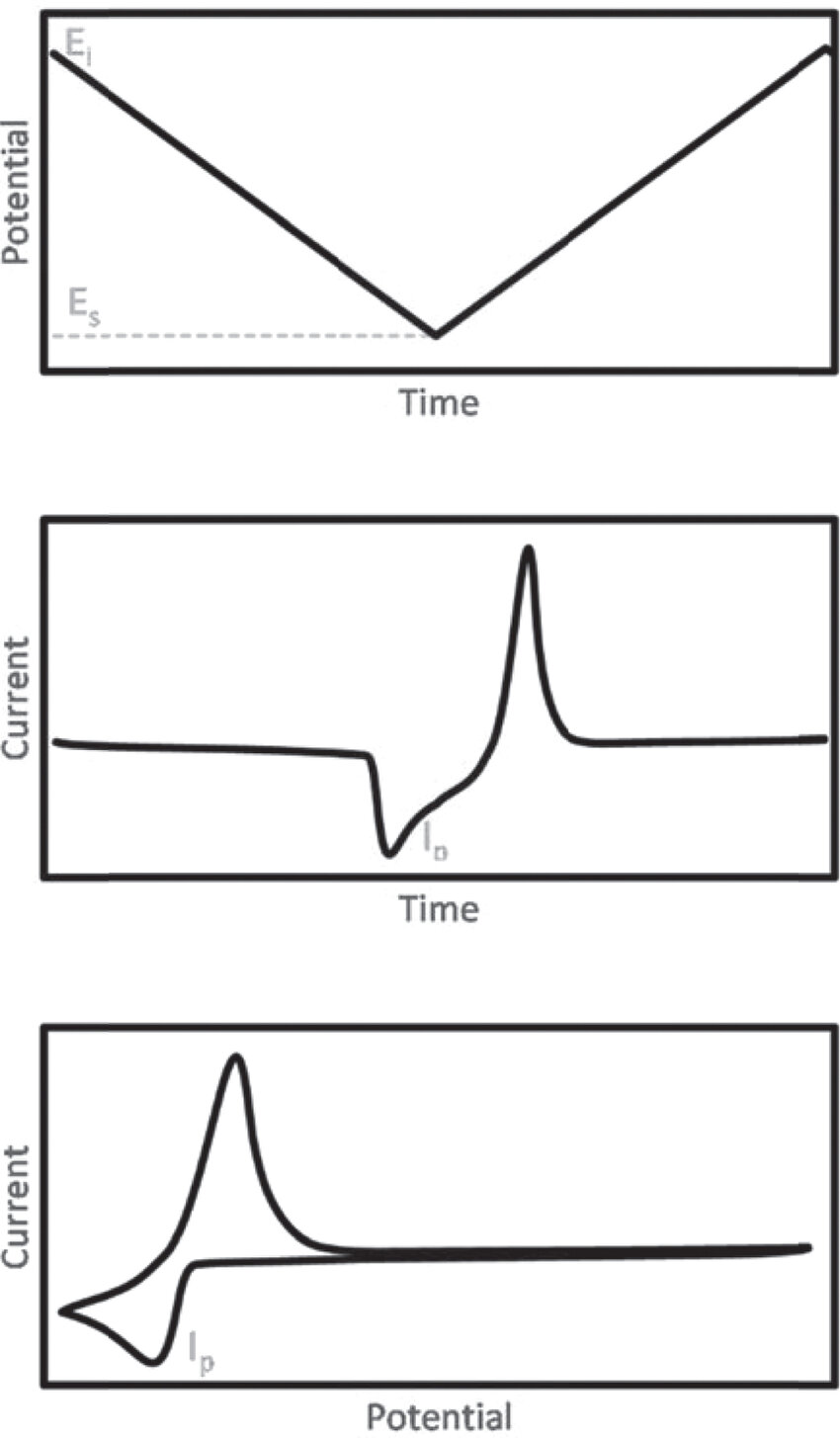 Illustrated waveform (top) and response (middle and bottom) for NPV ...