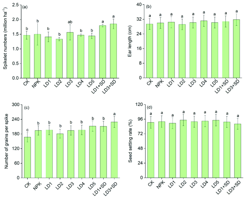 https://www.researchgate.net/publication/359751787/figure/fig4/AS:1147476836917255@1650591205427/Rice-spikelet-numbers-a-ear-length-b-numbers-of-grains-per-spike-c-and-seed.png