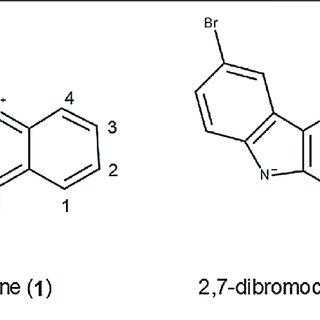 | Structures of cryptolepine (1) and 2, 7-dibromocrytolepine (2 ...