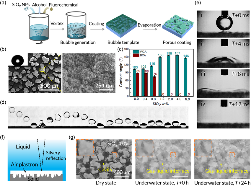Robust All-Waterborne Superhydrophobic Coating with Photothermal