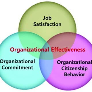 Organizational effectiveness. | Download Scientific Diagram