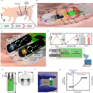 PDF) A self-powered ingestible wireless biosensing system for real