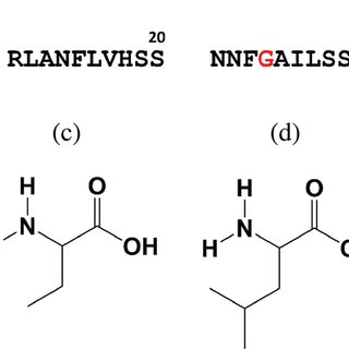 (a) Sequence of wild type human islet amyloid polypeptide (hIAPP) where the 24th residue is a (b) glycine. Three hIAPP variants were studied in which the 24th residue was replaced with (c) 2‐amino butyric acid, (d) leucine, or (e) proline