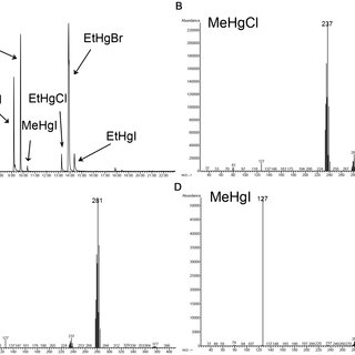 (A): Chromatogram of different halide salts of organic mercury and (B): mass spectra of MeHgCl, (C): MeHgBr, and (D): MeHgI. Organic mercuries in standard solutions were extracted using aqueous solutions containing chloride, bromide, and iodide ions. Spectra were obtained using negative chemical ionization.
