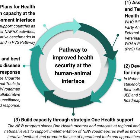 Tripartite pathway for improved health security at the human and animal...  | Download Scientific Diagram