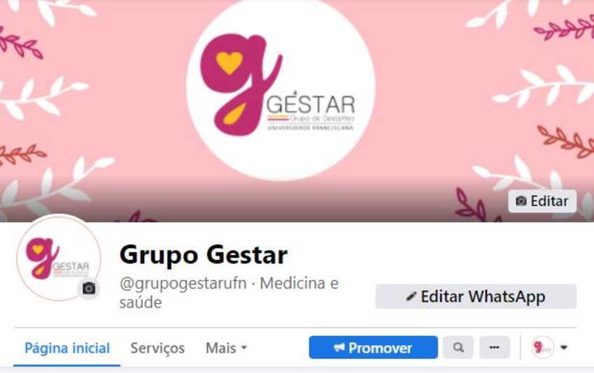 Tela principal do Facebook da página do Grupo GESTAR.
