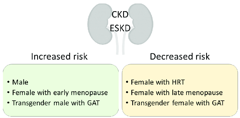 Clinical Significance Of Sex In Ckd Development And Progression To Download Scientific Diagram