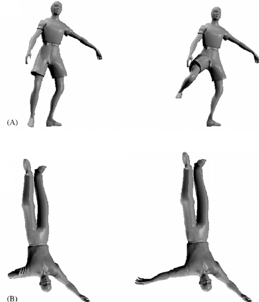 Examples of upright and inverted body stimuli used in the first